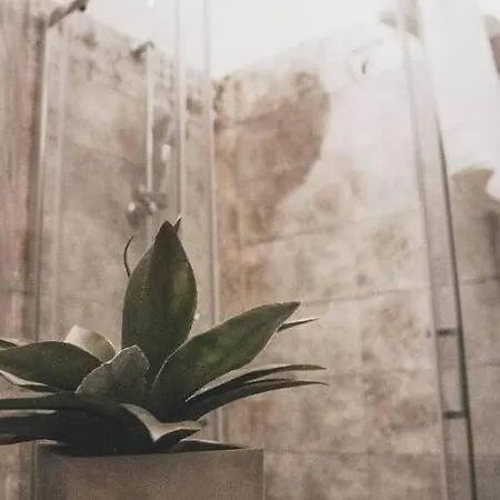 Apartment Casa Noe - Graziosa Vicino Al Centro Turin