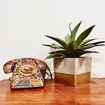 Appartamento Casa Noe - Graziosa Vicino Al Centro *